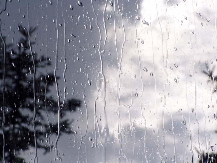 بارش پراکنده رگباری در برخی مناطق استان قزوین