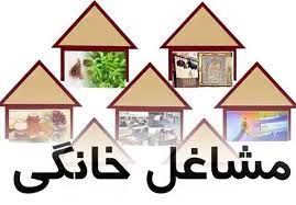طرح توسعه مشاغل خانگی در خوزستان