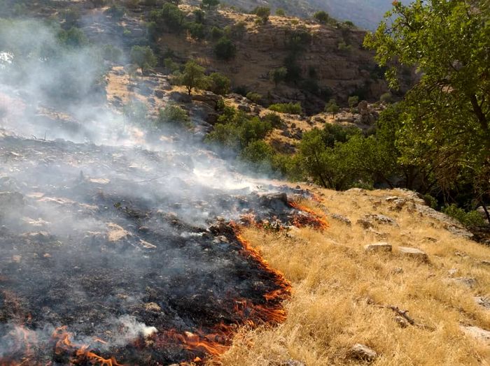 آتش سوزی در کوه‌های  بخش ارم دشتستان