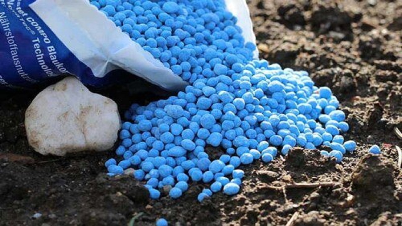 توزیع بیش از ۴هزارتن انواع کود شیمیایی در بین کشاورزان قزوینی
