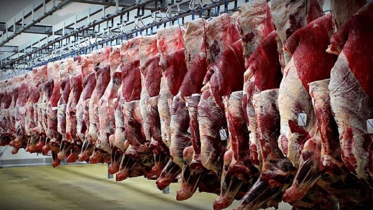 تولید پنج هزار و ۵۳۲ تن گوشت قرمز در استان قزوین