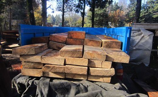 کشف و ضبط ۱/۵ تن چوب جنگلی قاچاق در تنکابن
