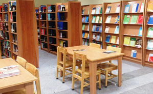 فعالیت ۲۰ کتابخانه روستایی در استان بوشهر