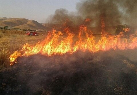 آلودگی هوا در اثر سوزاندن مزارع بعد از برداشت محصول