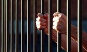 بسیج حقوق دانان امسال هم زمینه آزادی زندانیان را فراهم می کند