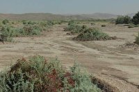 بهبود شرایط ۴۵۰ هزار هکتار از اراضی غبارخیز آذربایجان‌غربی