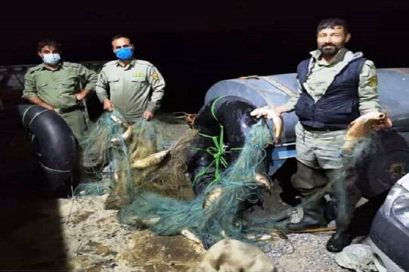 کشف ۶۰۰ متر تور ماهیگیری غیرمجاز در تالاب کانی ‌برازان مهاباد