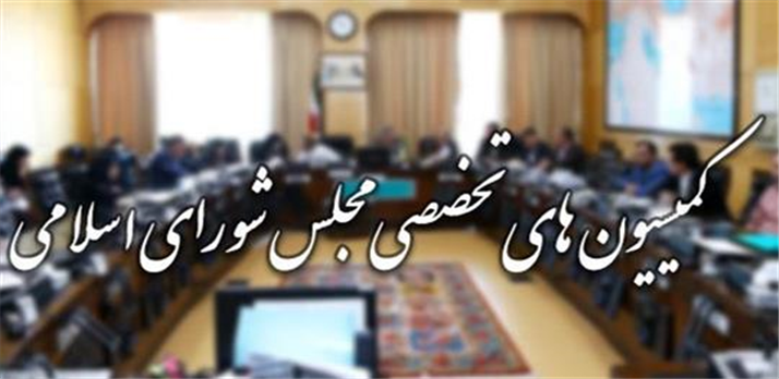 جلسه کمیسیون‌های تخصصی مجلس