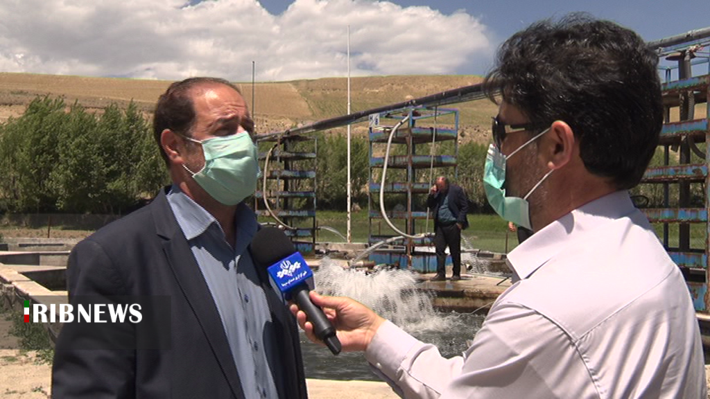 پیش بینی تولید ۱۰ هزار و ۴۰۰ تن ماهی در استان اردبیل