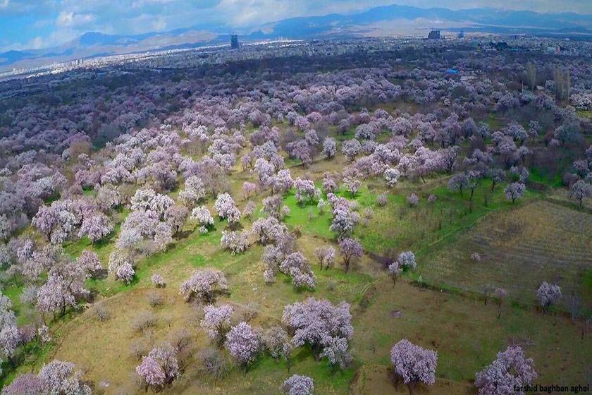 افزایش سهمیه آب باغستان سنتی قزوین