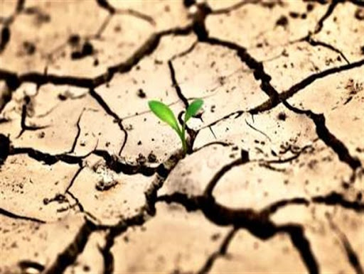 خشکسالی گسترده در فارس