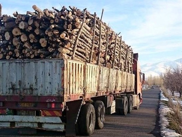 توقیف کامیون با ۱۵ تن چوب قاچاق در فامنین