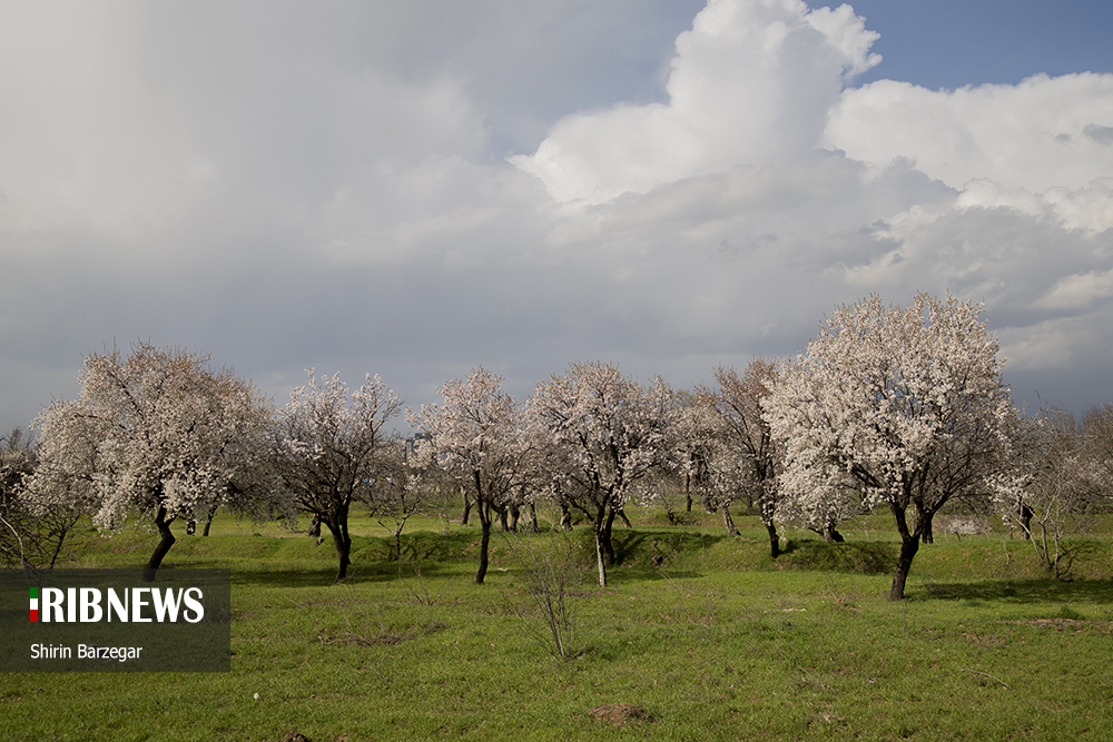 آسمان فارس صاف تا قسمتی ابری