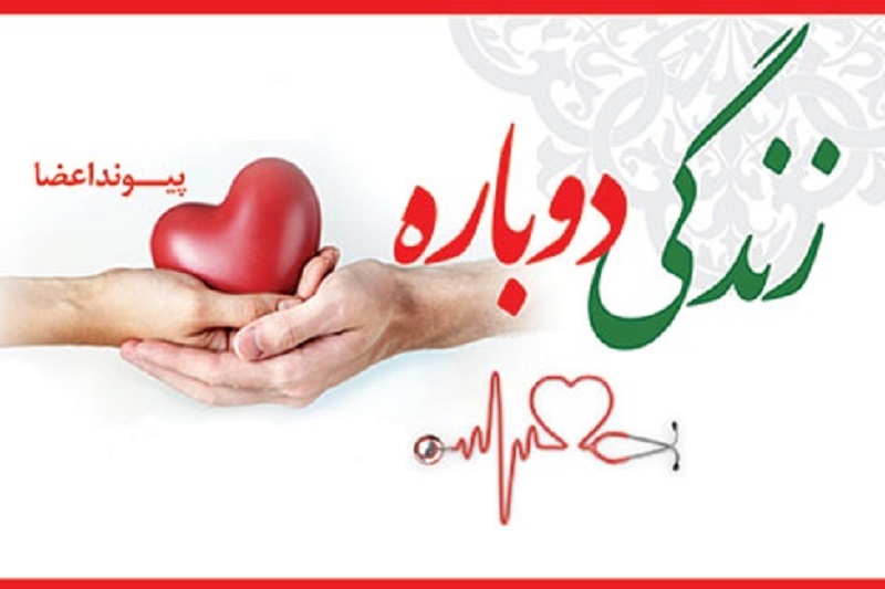 ثبت بیش از ۲۵۰ اهدای عضو در استان یزد