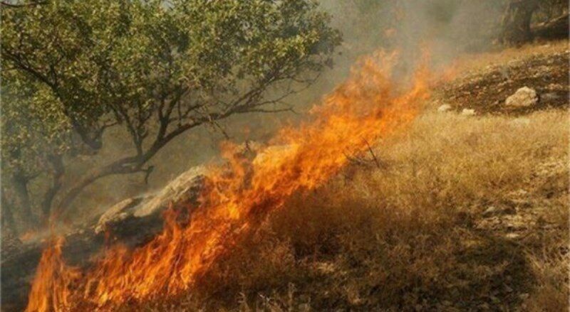 نبرد با آتش در جنگلهای نارک و انبارشاهی گچساران