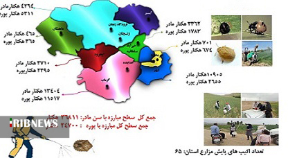 مبارزه با سن پوره در ماهنشان