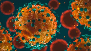کشف سویه جدید ویروس کرونا در تونس