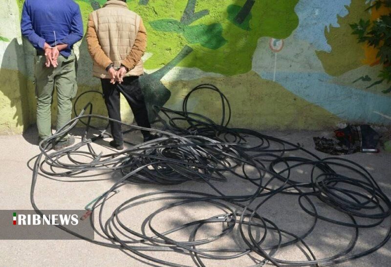 دستگیری باند سارقین کابل برق در قروه