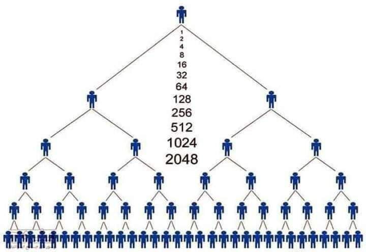 انهدام یك شرکت هرمی