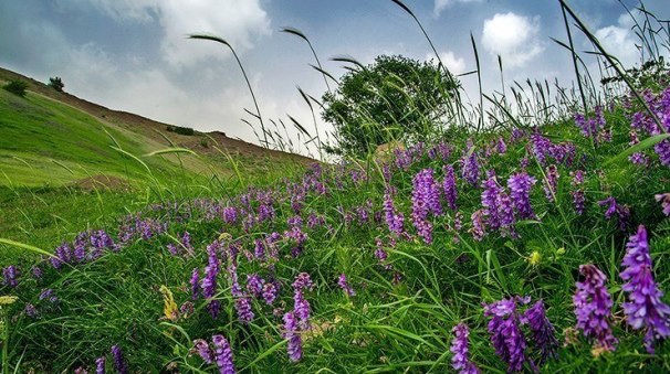 آسمان گیلان صاف تا دو روز آینده