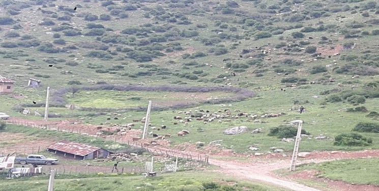 بهسازی ۱۲۰ کیلومتر جاده عشایری در دهدشت