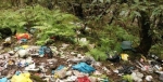 دفن زباله های لردگان در جنگل؟!