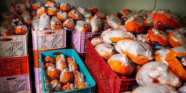کشف بیش از سه هزار کیلو مرغ احتکار شده در پایتخت