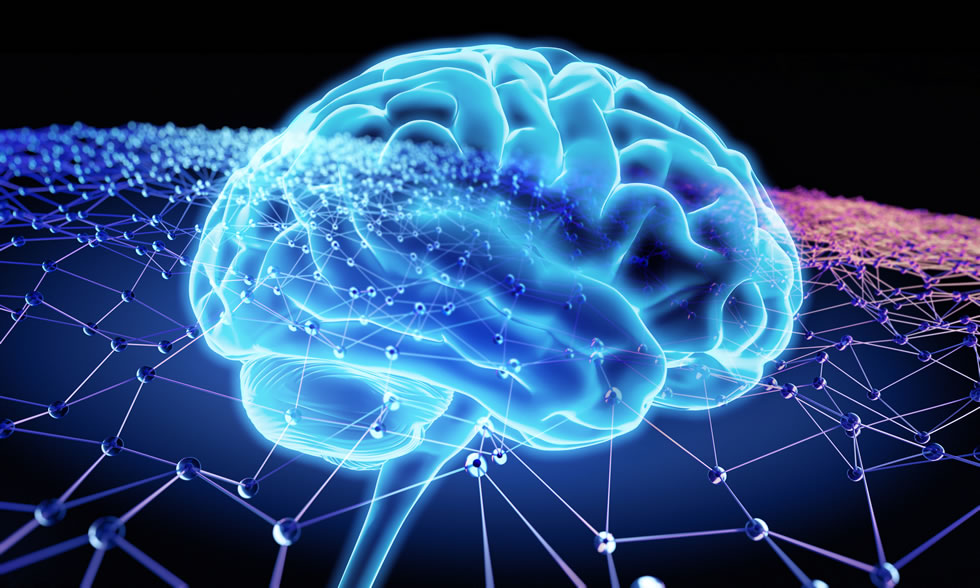 بررسی هم آوایی در شبکه نورونی مغز/ استفاده از نتایج در علوم اعصاب