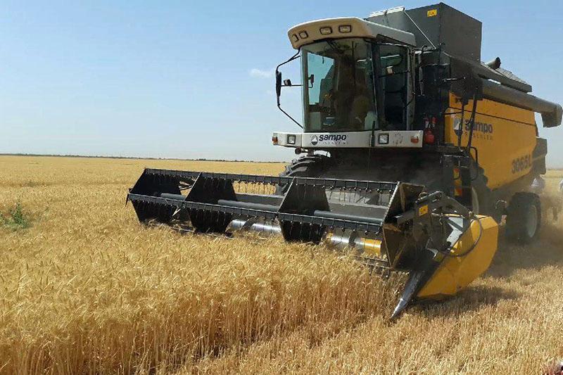 خرید یک میلیون و ۶۳ هزار تن گندم در خوزستان