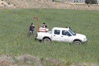 مبارزه با آفت ملخ در  ۱۱۶۰ هکتار از اراضی کشاورزی آذربایجان غربی