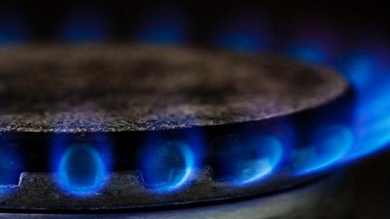 مصرف گاز در بخش خانگی کمتر از ۴ درصد است