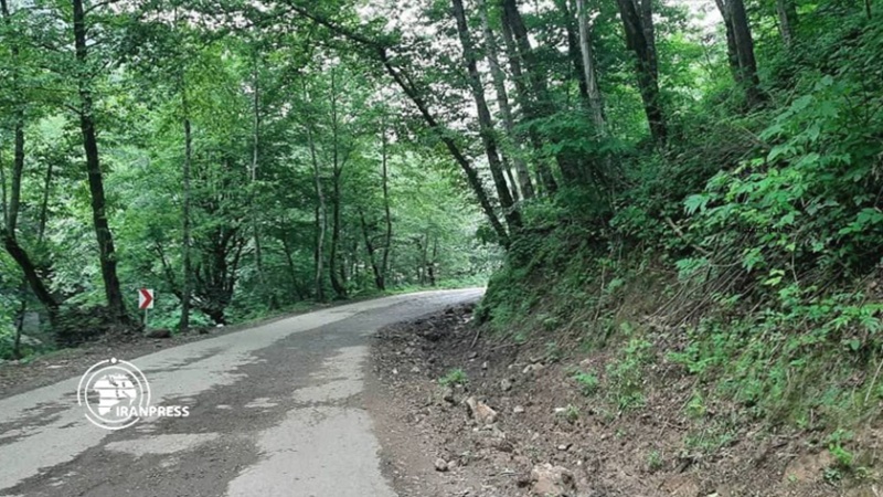 سیاهمزگی و پنیر خوشمزه آن؛ روستایی در دل جنگل های گیلان