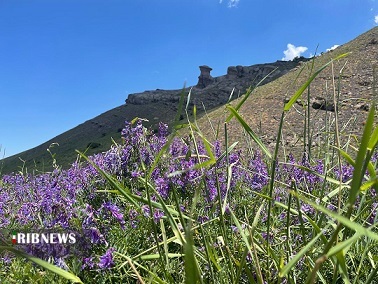 وزش باد مهمترین پدیده ی جوی استان