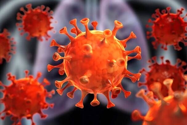 شناسایی ۵۸ مورد جدید مبتلا به کرونا ویروس در ایلام