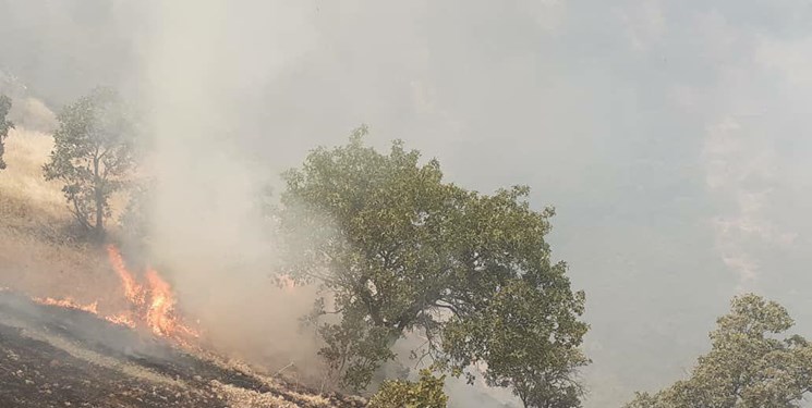 هشدار احتمال آتش سوزی در جنگل های سمنان
