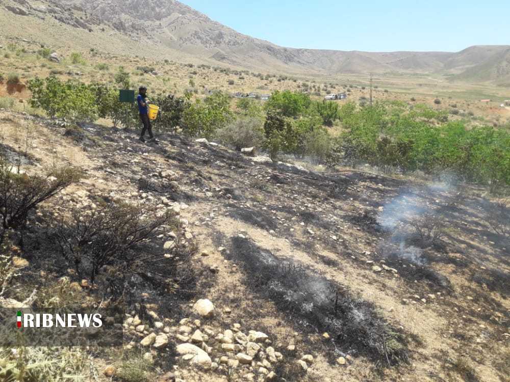 آتش سوزی در ۱۰ هکتار از مراتع لنجان و سمیرم