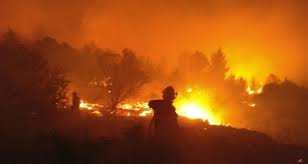 آتش سوزی گسترده در شهرک «گوش عتسیون»