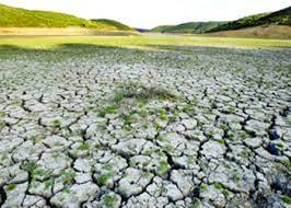 برزیل در معرض شدیدترین خشکسالی