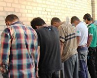 اعضاء باند سرقت احشام در خمین دستگیر شدند