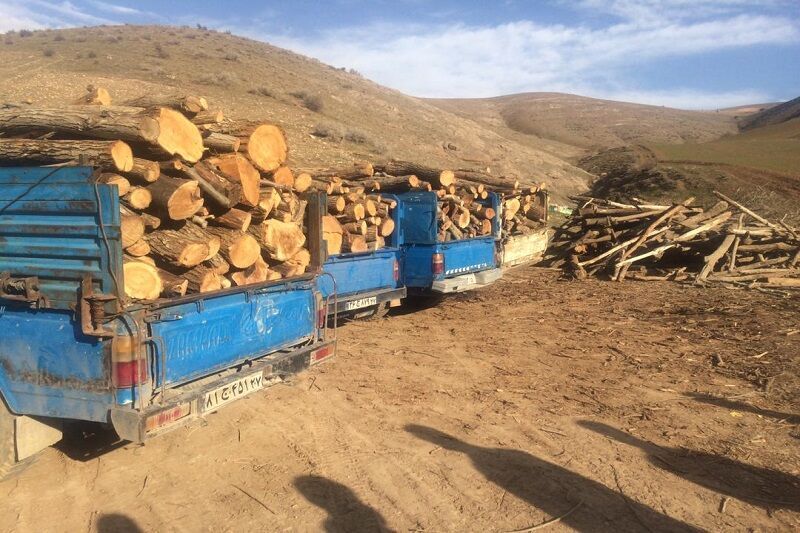 کشف شش تن چوب قاچاق در مهاباد