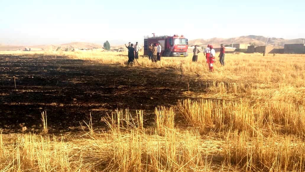 ۵۰ هکتار از مزارع کشاورزان ایوانی در آتش سوخت