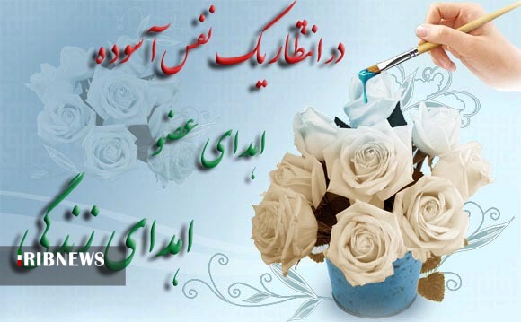 اهدا عضو بانوی 18 ساله زنجانی