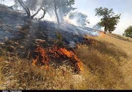 330هکتار از جنگلهای کردستان درآتش سوخت