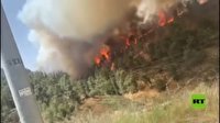 ادامه آتش سوزی در جنگل های فلسطین اشغالی