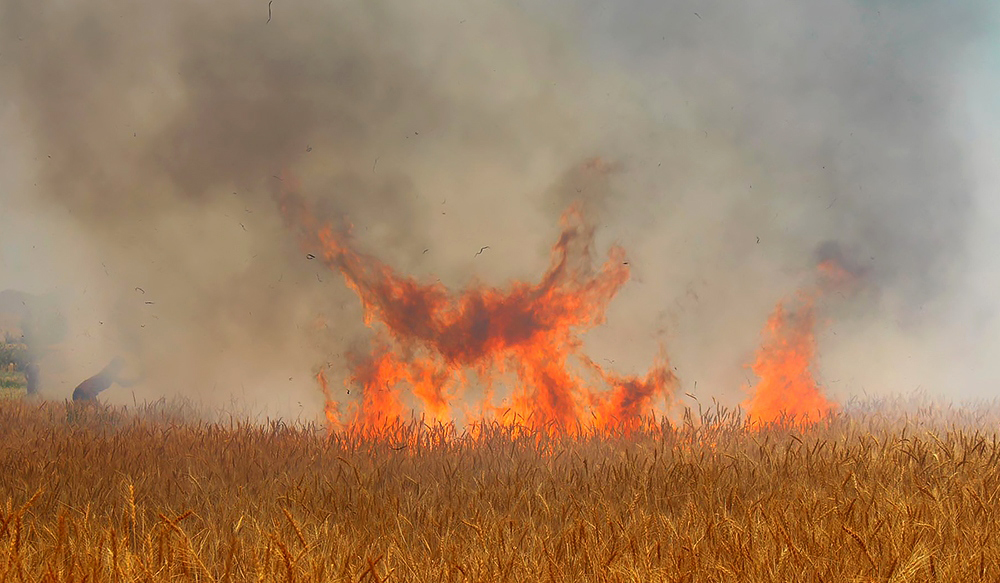 شعله های اتش در مزارع مهران