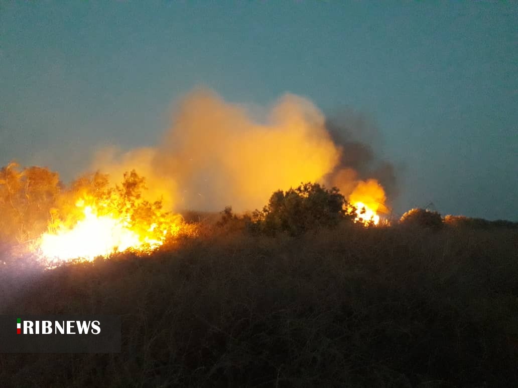مهار آتش سوزی در منطقه حفاظت شده حله شهرستان بوشهر