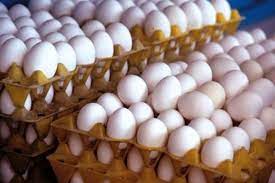 توقیف ۲۶ تن تخم مرغ قاچاق در مرز باشماق مریوان