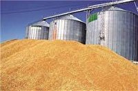 ظرفیت ذخیره یک میلیون و ۱۰۰ هزار تن گندم در آذربایجان‌غربی