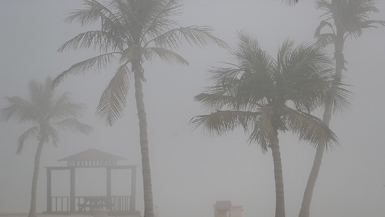 هواشناسی / غبار محلی در سواحل و جزایر هرمزگان