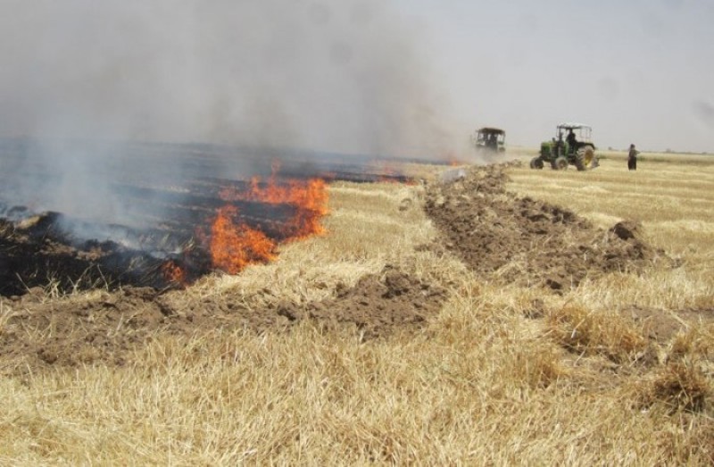 آتش زدن پسماند زمیی کشاورزی علت اصلی آتش سوزی های اخیر